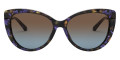 Blue Fleck Tortoise / Brown Blue Gradient