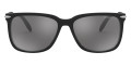 Black / Silver Polarized