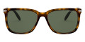 Dark Tortoise Dyeing Tecnhique / G15 Green Solid