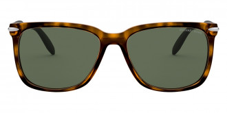Color: Dark Tortoise Dyeing Tecnhique (333371) - Michael Kors MK209633337158