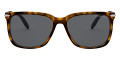 Dark Tortoise Dyeing Tecnhique / Gray Solid Polar
