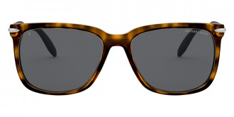 Color: Dark Tortoise Dyeing Tecnhique (333381) - Michael Kors MK209633338158