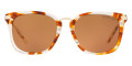 New Crystal Tortoise / New Acorn Solid