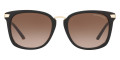 Dark Tortoise / Smoke Gradient