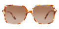 Crystal Tortoise / Brown Gradient