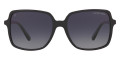 Black / Gray Gradient Polarized