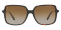 Dark Tortoise / Gray Brown Gradient Polarized