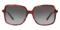Red Tortoise / Dark Gray Gradient