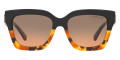 Black / Tortoise Colorblock / Gray Orange Gradient