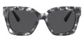 Gray Tortoise / Dark Gray Solid