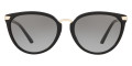 Black / Gray Gradient