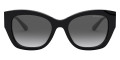 Black / Dark Gray Gradient