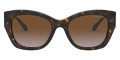 Dark Tortoise / Brown Gradient