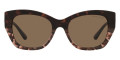 Brown / Dark Brown Solid