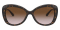 Dark Tortoise / Brown Gradient