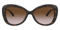 Dark Tortoise / Brown Gradient