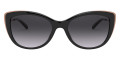 Black / Dark Gray Gradient