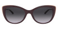 Cordovan / Dark Gray Gradient