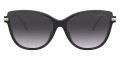 Black / Dark Gray Gradient