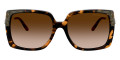 Dark Tortoise / Brown Gradient