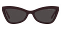 Cordovan / Dark Gray Solid