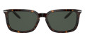 Dark Tortoise / Dark Green Solid