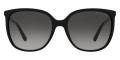 Black / Dark Gray Gradient