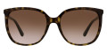 Havana / Brown Gradient
