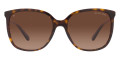 Dark Tortoise / Brown Gradient Polarized