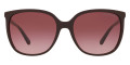 Purple / Reddish / Cordovan Gradient