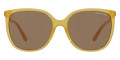 Yellow / Brown Solid
