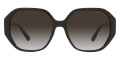 Black / Dark Gray Gradient