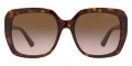 Havana / Brown Gradient 300613