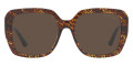 Havana / Dark Gray Solid
