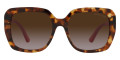 Havana / Brown Gradient 302813