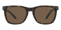 Havana / Brown Solid