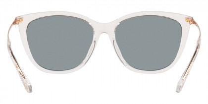 Color: Clear (3005M5) - Michael Kors MK2150U3005M556