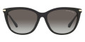 Black / Dark Gray Gradient