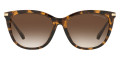Dark Tortoise / Brown Gradient