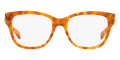 Amber Tortoise