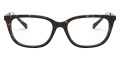 Dark Tortoise