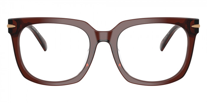 MICHAEL KORS™ MK4176U Ontario 3401 54 - Brown Transparent