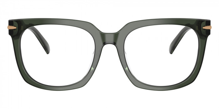 MICHAEL KORS™ MK4176U Ontario 3961 54 - Green Transparent