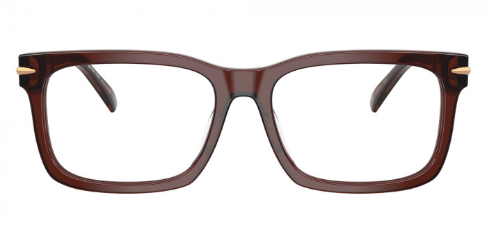 MICHAEL KORS™ MK4177U Ottawa 3401 55 - Brown Transparent