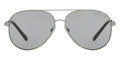 Shiny Silver / Light Gray Solid