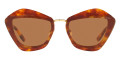 Light Havana / Brown