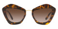 Honey Havana / Gradient Brown