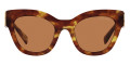 Light Havana / Brown