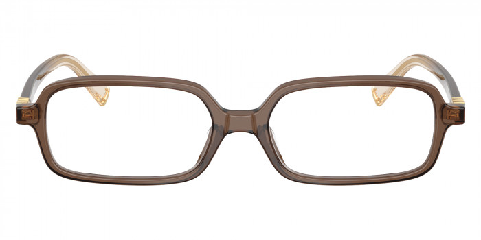 Miu Miu MU 01YVF 23H1O1 53 - Brown Transparent