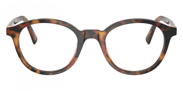 少量[MIUMIU EYE]★金色ロゴ★Havana Ivy 50Size 少量[MIUMIU EYE]☆金色ロゴ☆Havana Ivy 50Size